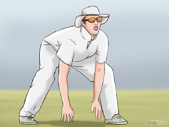 2 - Cricket Catch, Transparent background PNG HD thumbnail