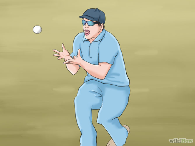 4 - Cricket Catch, Transparent background PNG HD thumbnail