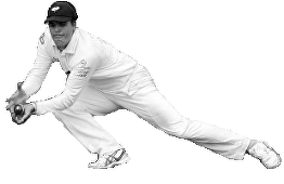Sport Silhouette - Cricket Fi