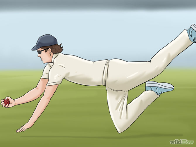 How To Catch A Cricket Ball - Cricket Catch, Transparent background PNG HD thumbnail
