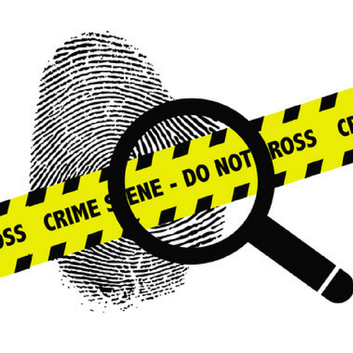 Crime Scene Investigations - Crime Scene, Transparent background PNG HD thumbnail