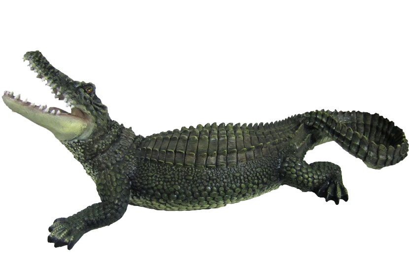 Crocodile PNG-PlusPNG pluspng