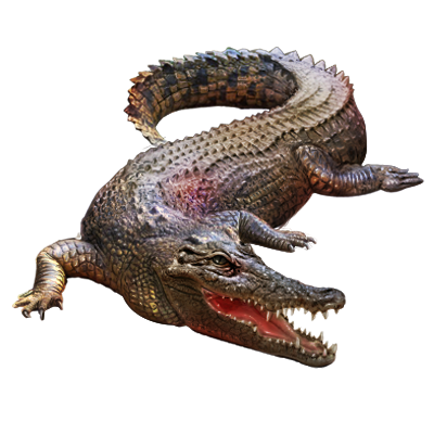 Alligator PNG Pic