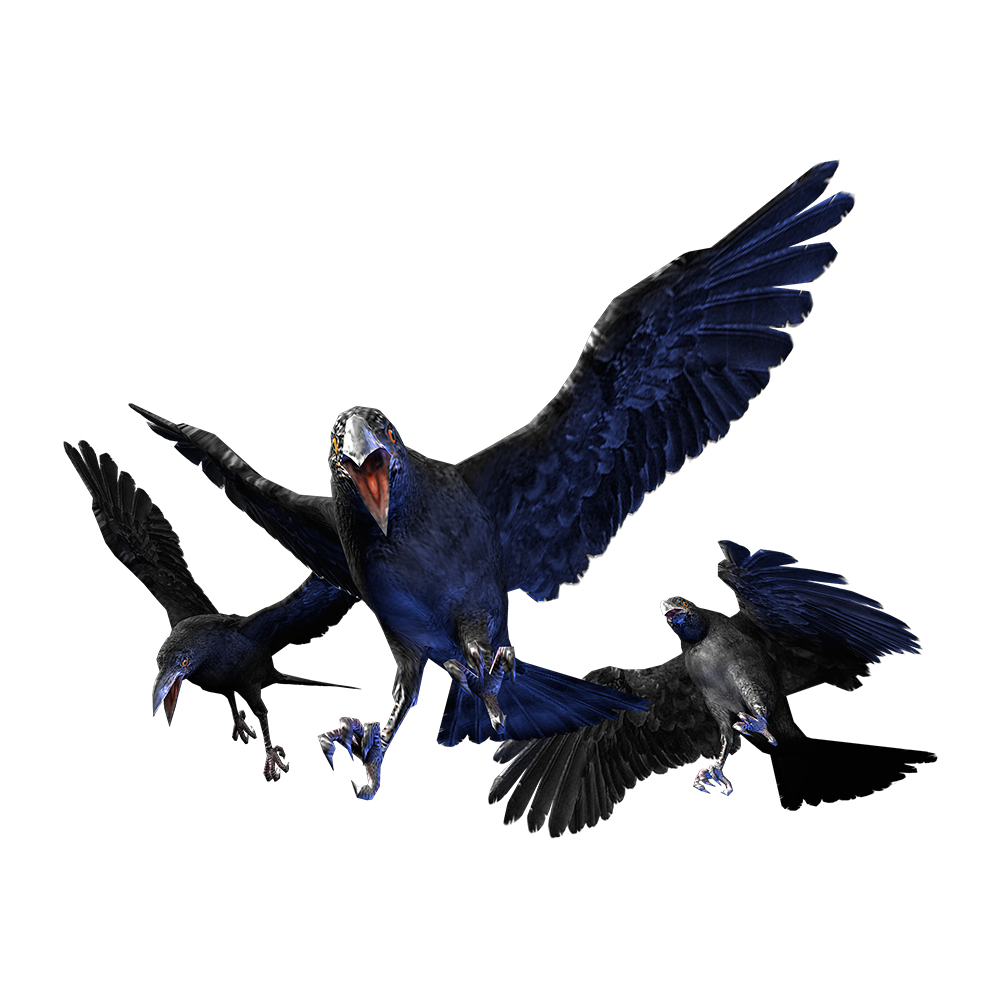 Cr Crow.png - Crow, Transparent background PNG HD thumbnail