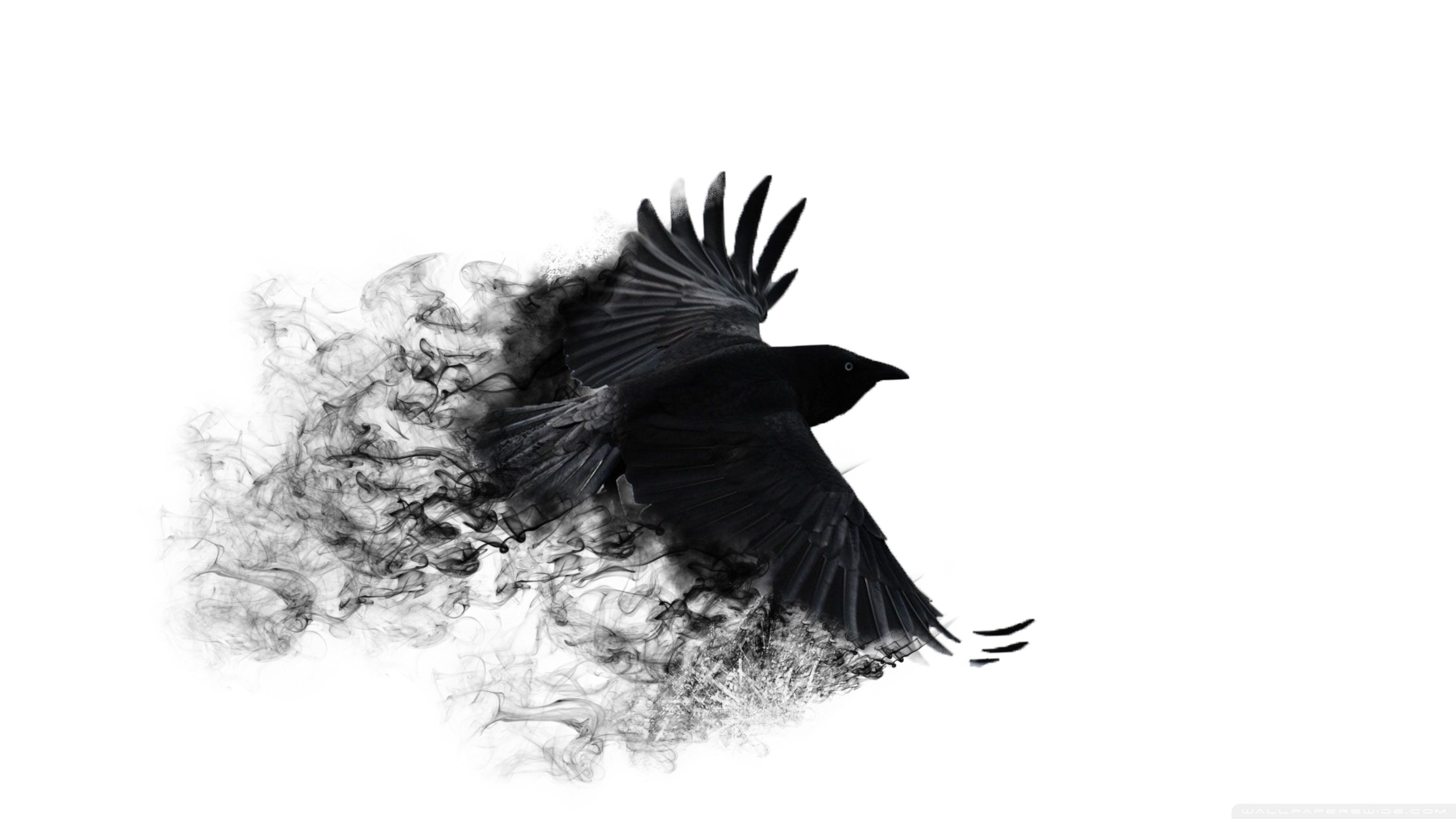 Crows PNG Stock by Roy3D Plus