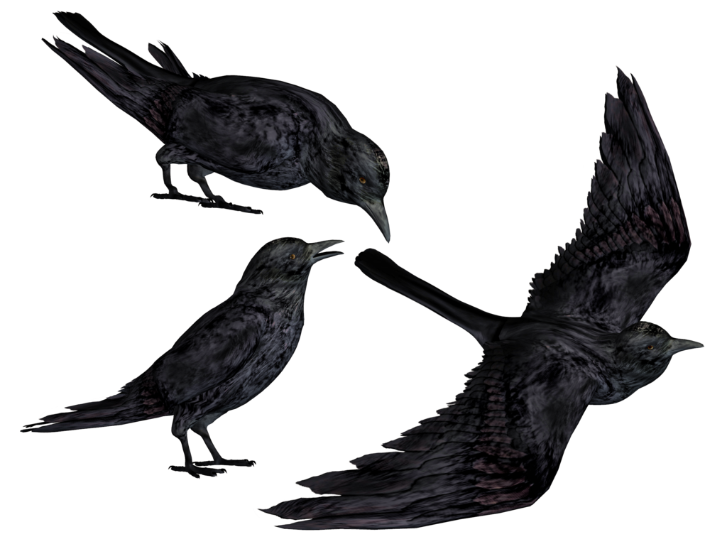 Crows Png Stock By Roy3D - Crow, Transparent background PNG HD thumbnail