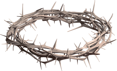 Crown Of Thorns Png Hd Hdpng.com 400 - Crown Of Thorns, Transparent background PNG HD thumbnail