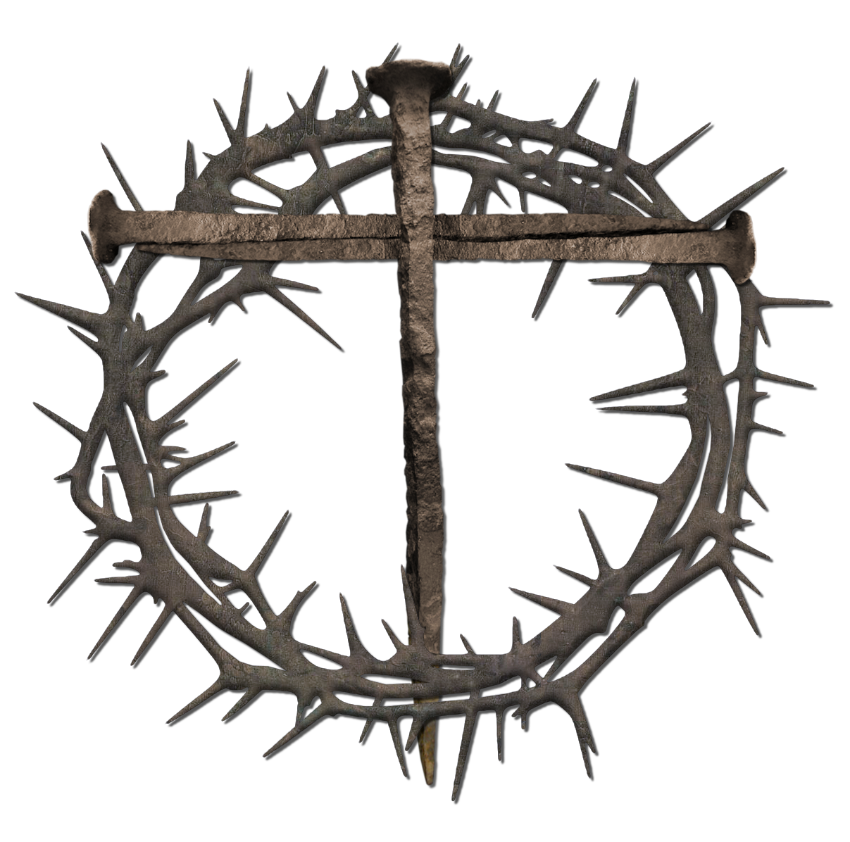 Clip Arts Related To : Jesus On Cross With Crown Of Thorns Clipart - Crown Of Thorns, Transparent background PNG HD thumbnail