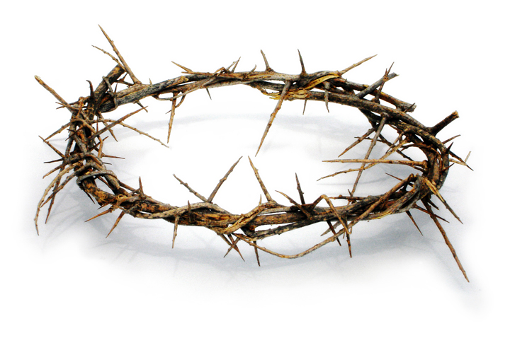 Crown Of Thorns 1 - Crown Of Thorns, Transparent background PNG HD thumbnail