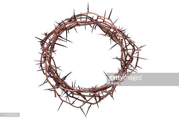 Crown Of Thorns - Crown Of Thorns, Transparent background PNG HD thumbnail