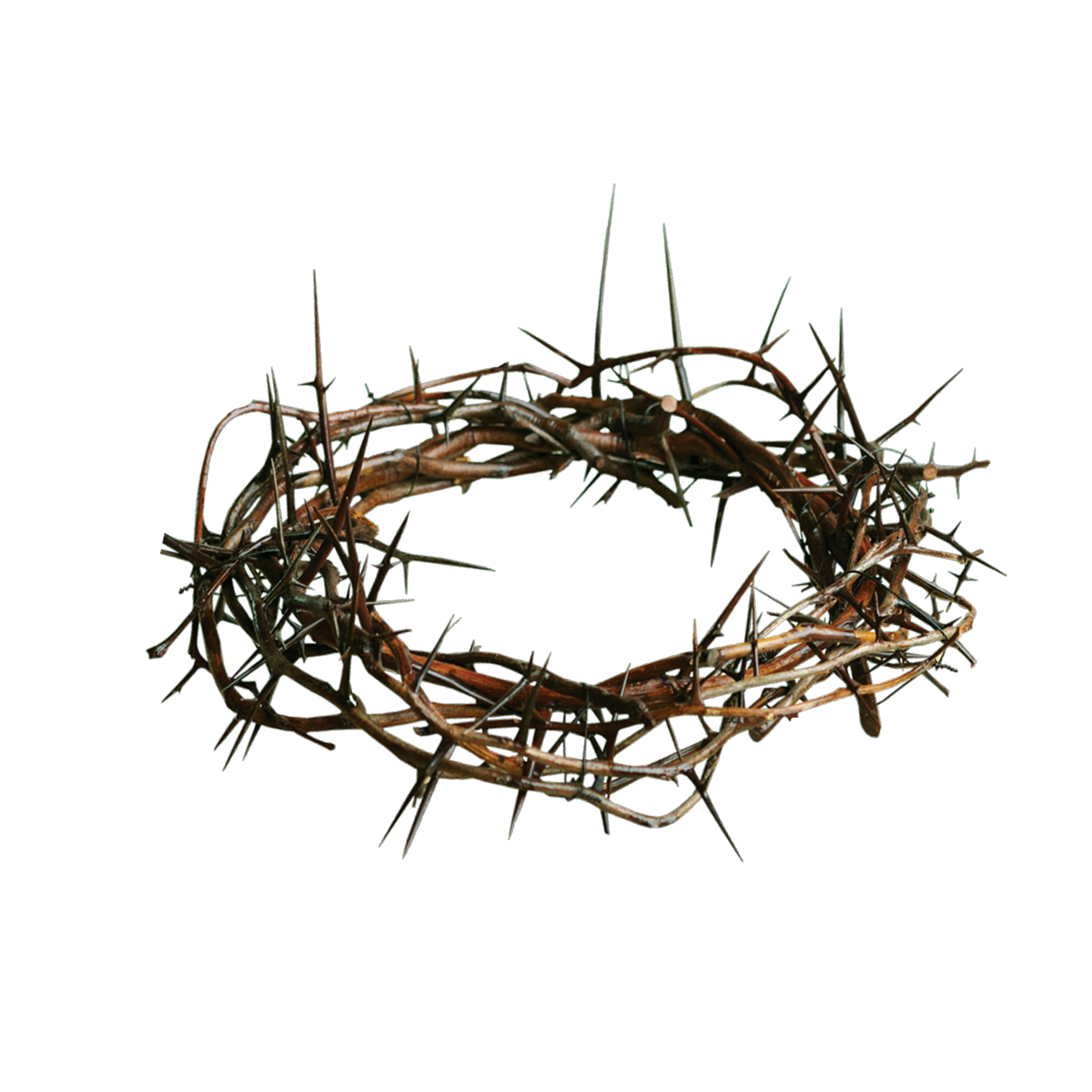 . Hdpng.com Crown Of Thorns.png Hdpng.com  - Crown Of Thorns, Transparent background PNG HD thumbnail