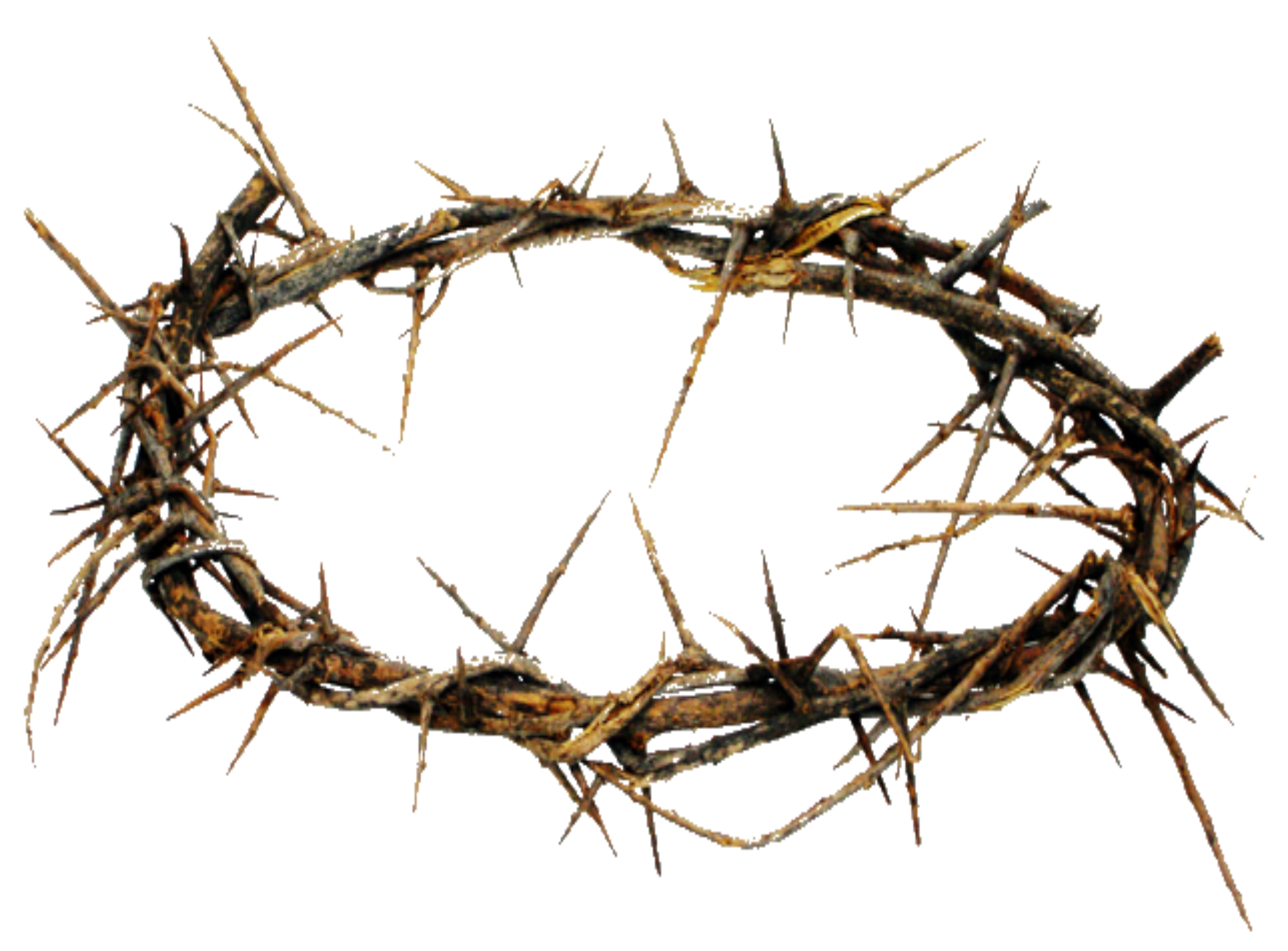 . Hdpng.com Crown Of Thorns.png Hdpng.com  - Crown Of Thorns, Transparent background PNG HD thumbnail