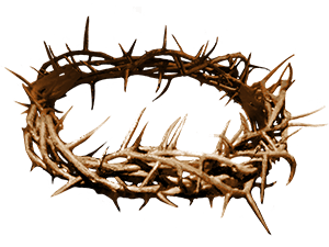 Revelation @the Crown Of Thorns. U201C - Crown Of Thorns, Transparent background PNG HD thumbnail