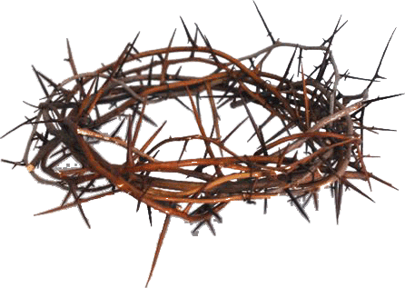 The Circle Of Thorns, - Crown Of Thorns, Transparent background PNG HD thumbnail