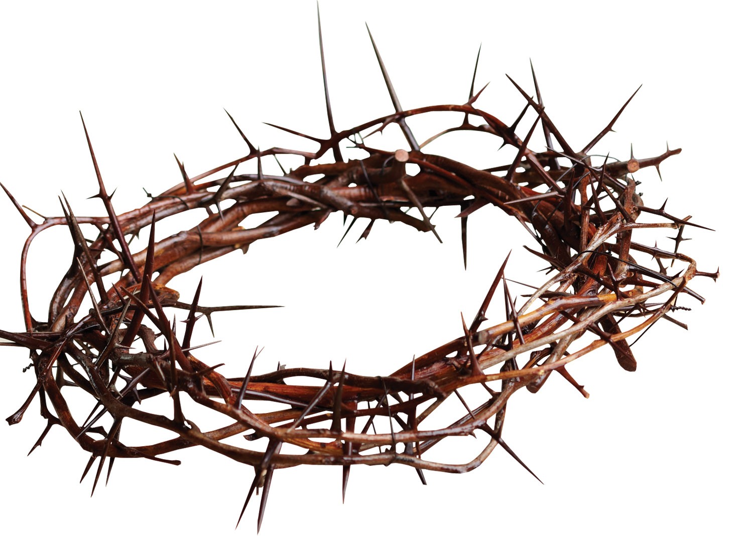 Thorns Free Christian Twitter Background C28Com   Clipart Library - Crown Of Thorns, Transparent background PNG HD thumbnail