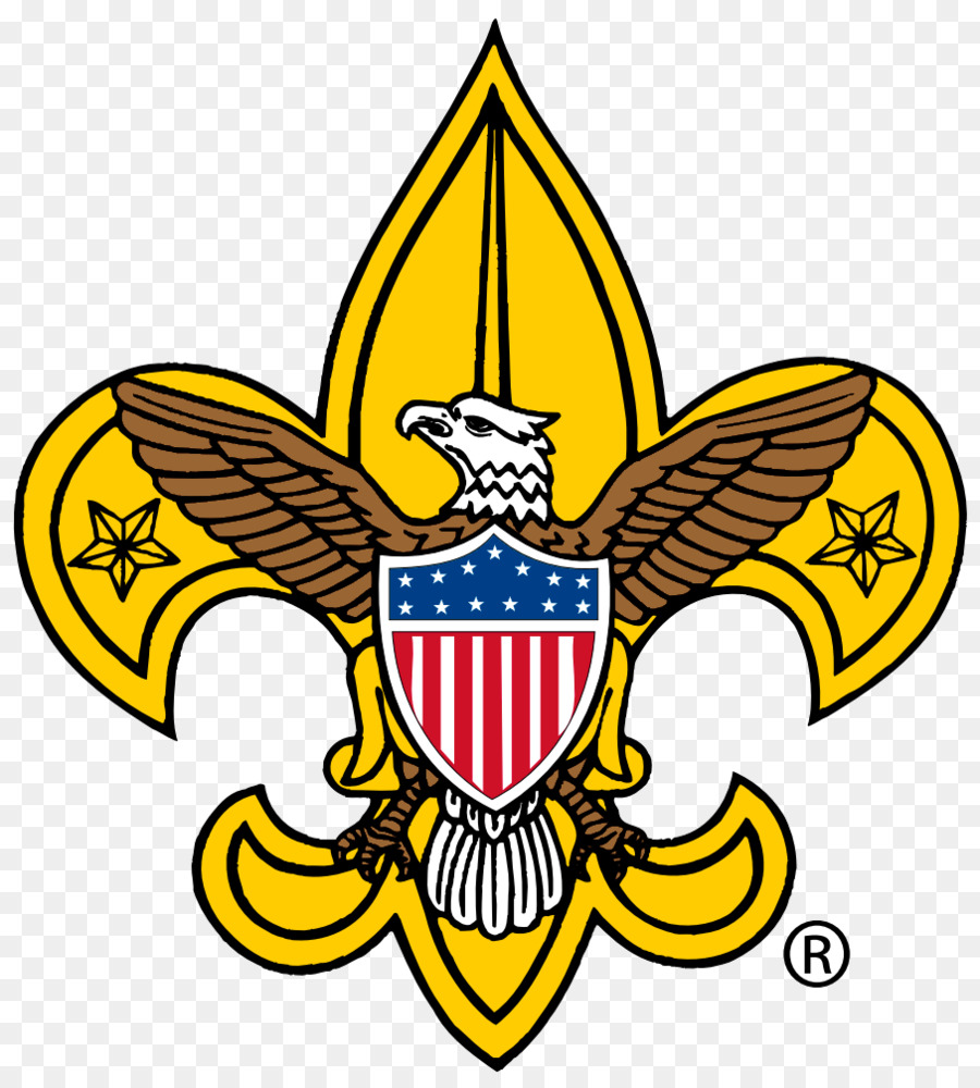 Boy Scouts Of America Cub Scouting Boy Scouting Eagle Scout   Scout - Cub Scout, Transparent background PNG HD thumbnail