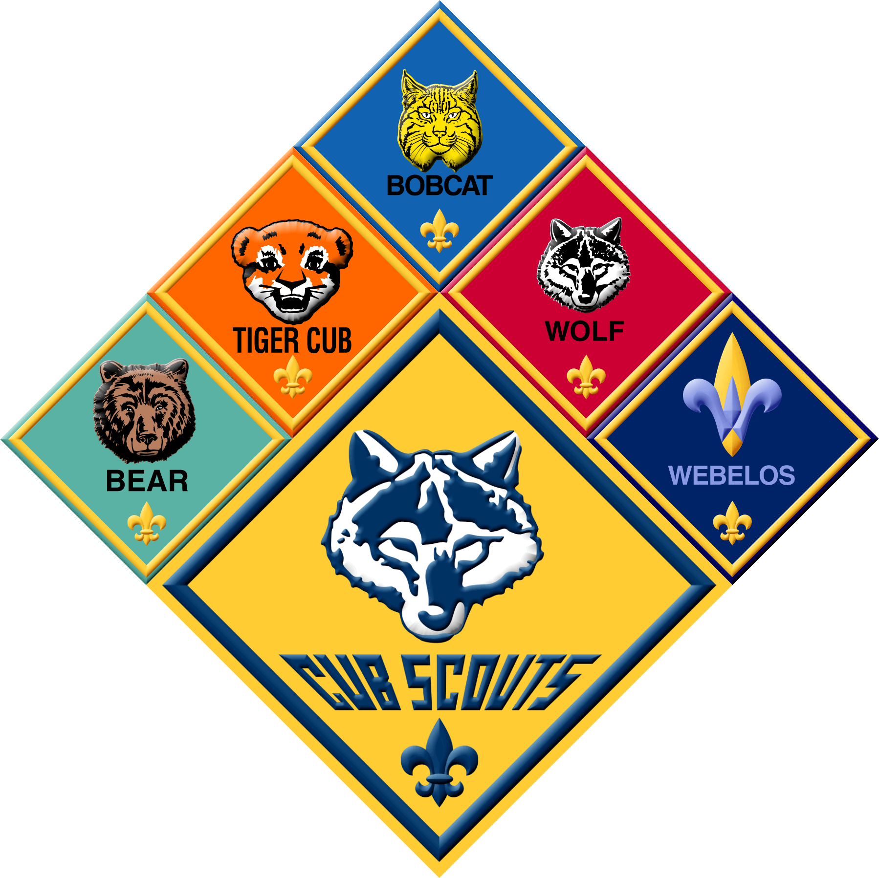 Boy Scouts of America logo, V