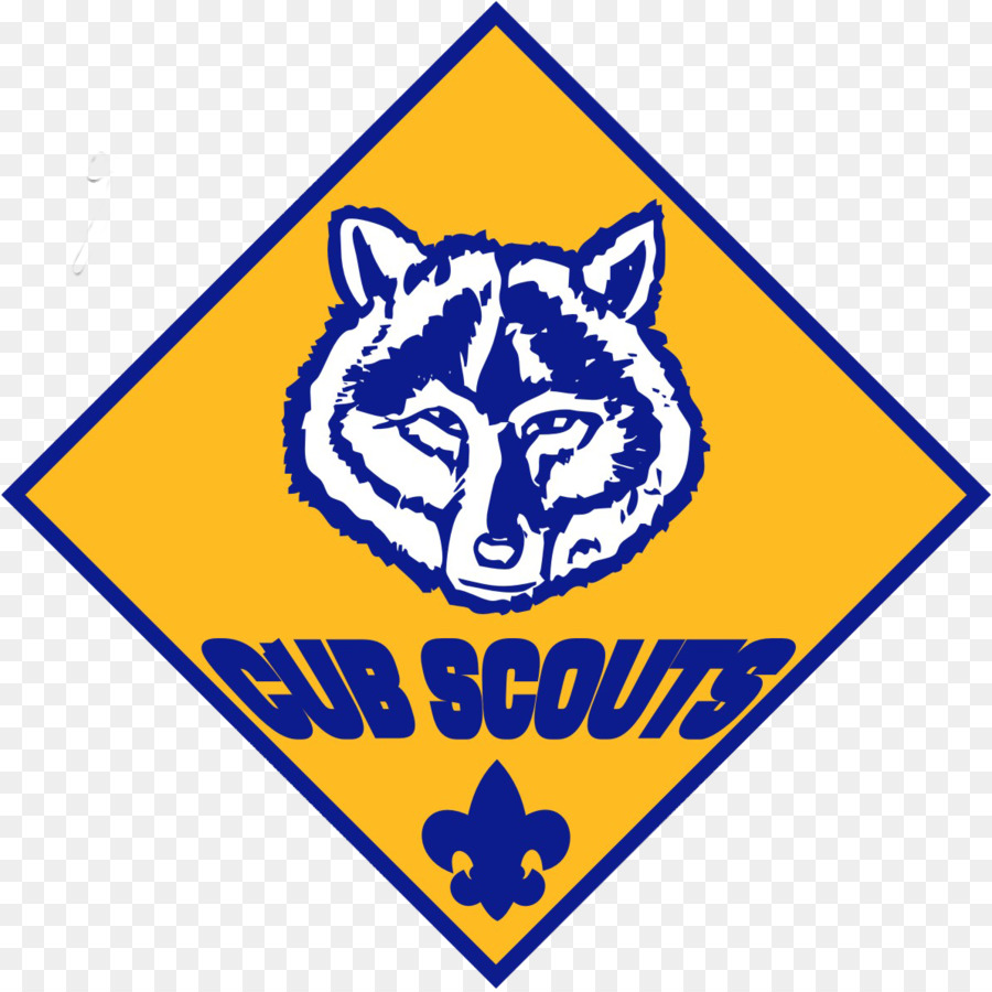 Boy Scouts of America Cub Sco