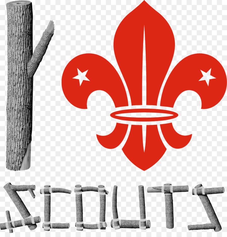 Scouting World Scout Emblem Boy Scouts Of America World Organization Of The Scout Movement Cub Scout   Love Wood - Cub Scout, Transparent background PNG HD thumbnail
