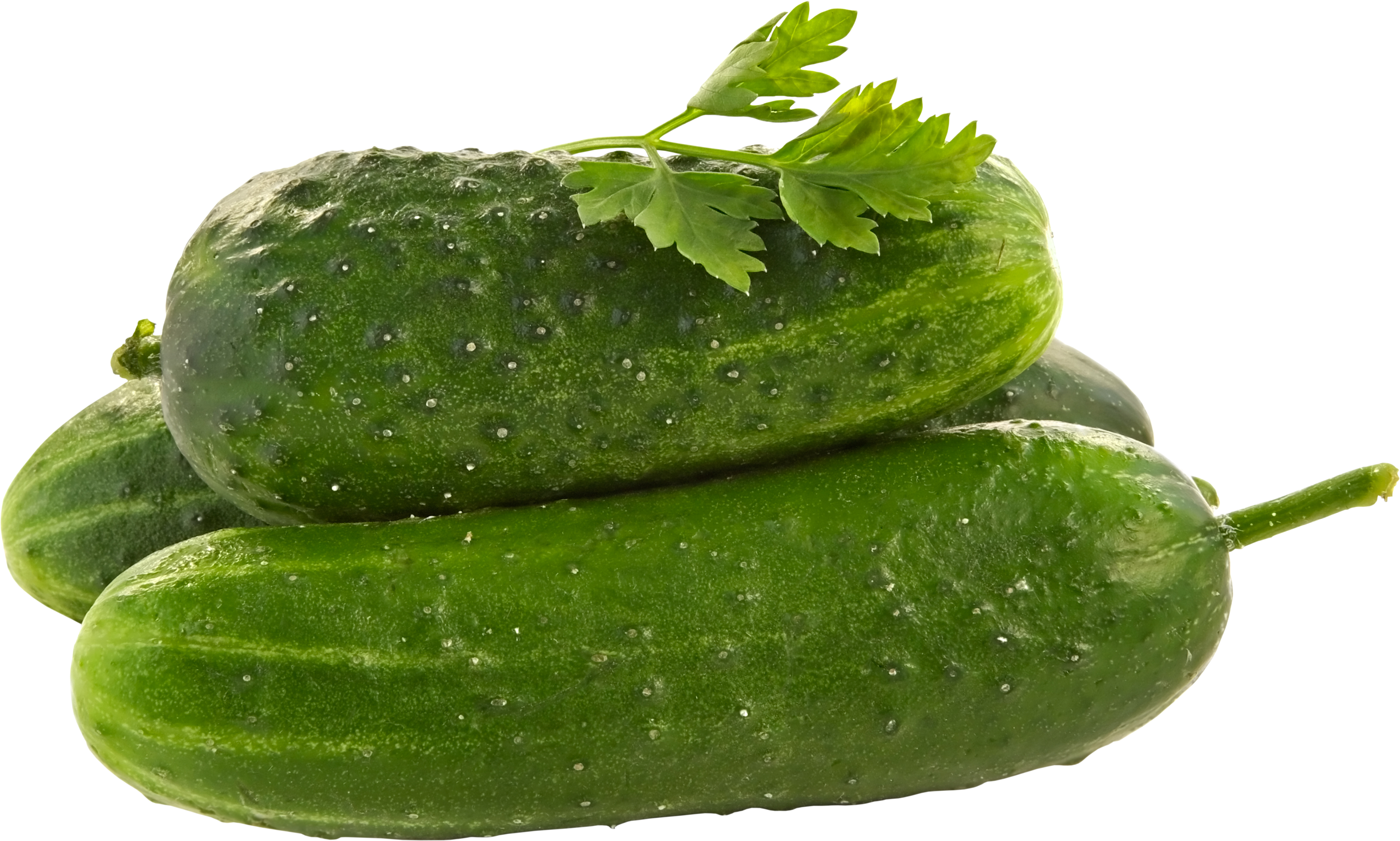 Free Download Of Cucumber Png Image - Cucumber, Transparent background PNG HD thumbnail