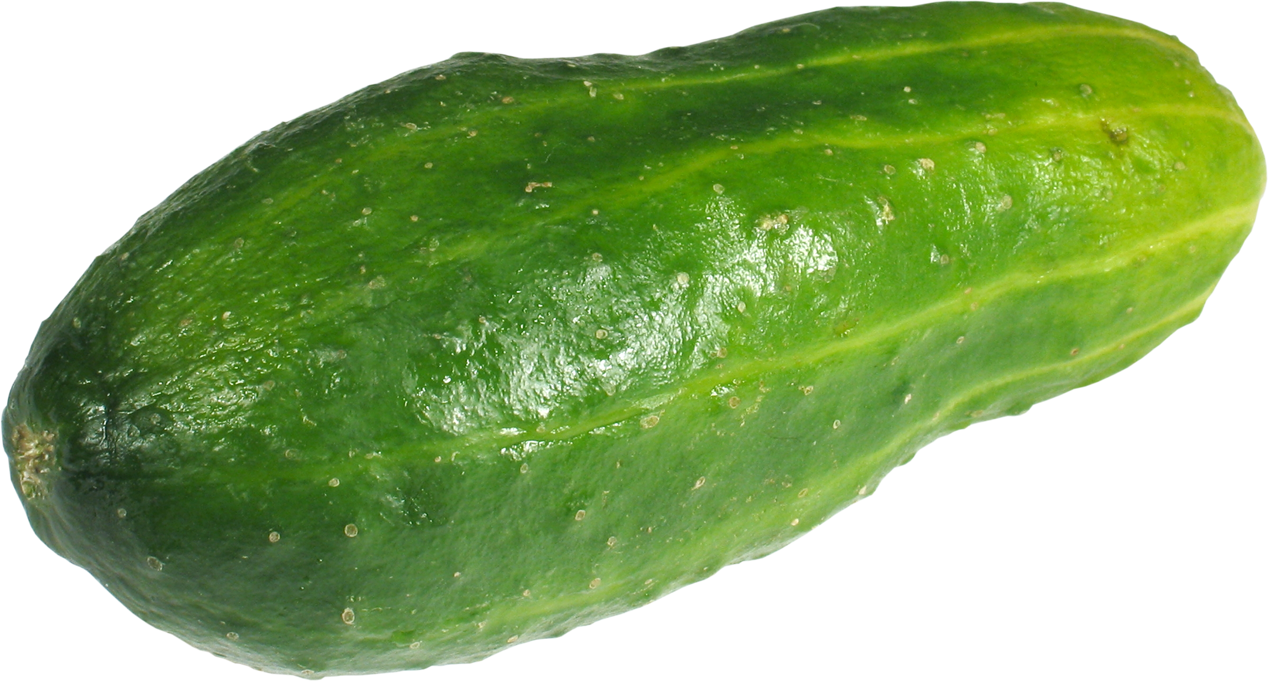 Cucumber Png - Cucumber, Transparent background PNG HD thumbnail