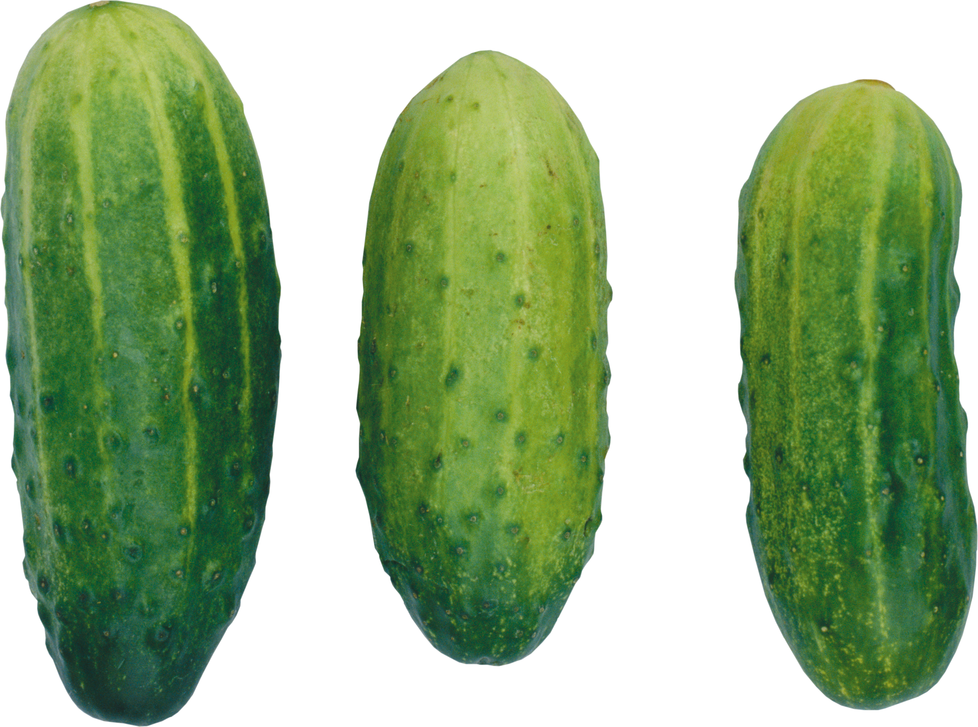 Cucumber Png - Cucumber, Transparent background PNG HD thumbnail
