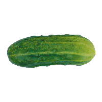 Green Cucumber Png Image Png Image - Cucumber, Transparent background PNG HD thumbnail