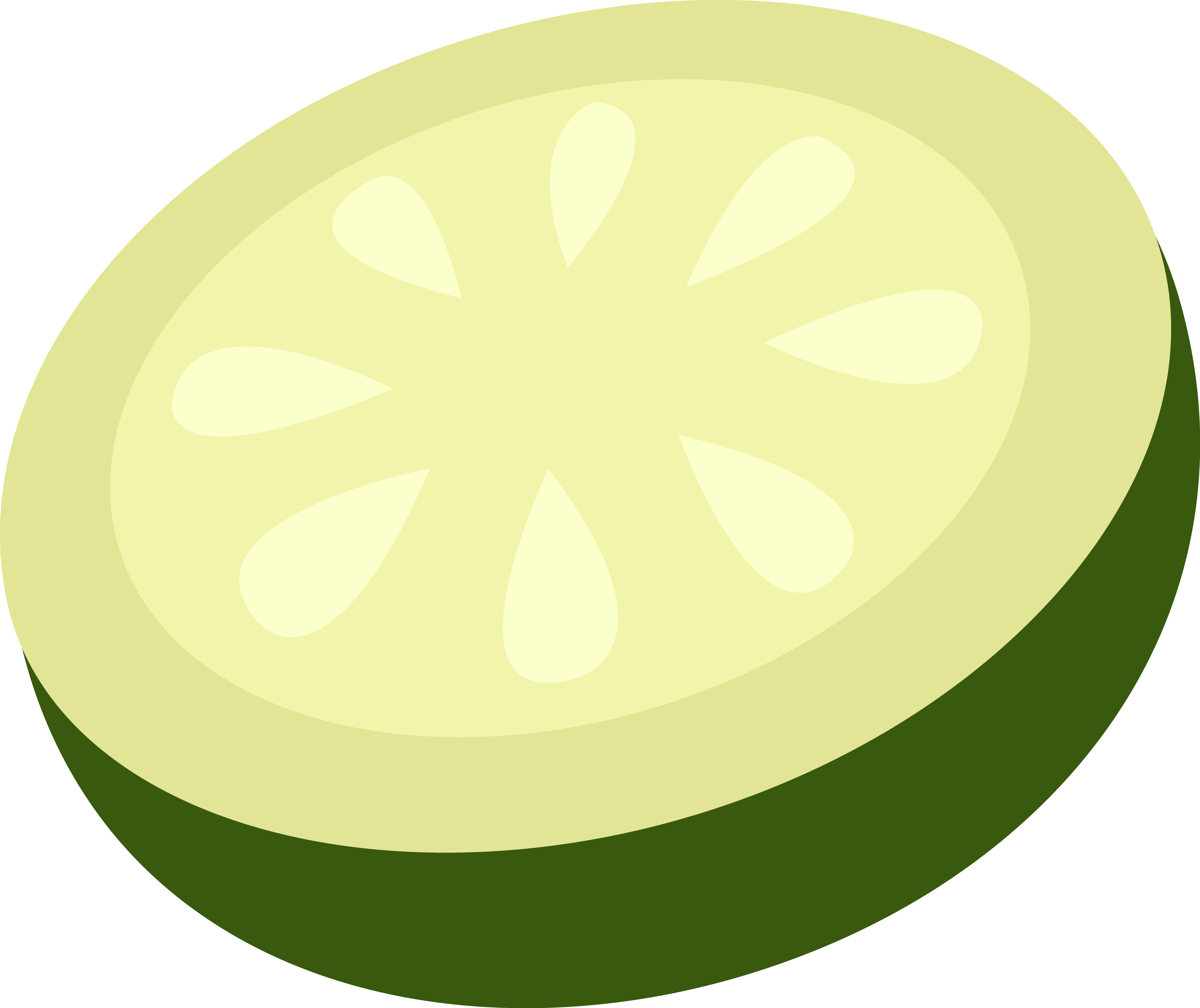 Cucumber Clipart Cucumber Slice #1 - Cucumber Slice Black And White, Transparent background PNG HD thumbnail