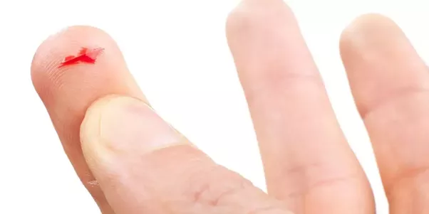 Hand Cut vector