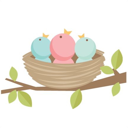 Baby Birds Svg Scrapbook Cut File Cute Clipart Files For Silhouette Cricut Pazzles Free Svgs Free Svg Cuts Cute Cut Files - Cute Baby Bird, Transparent background PNG HD thumbnail