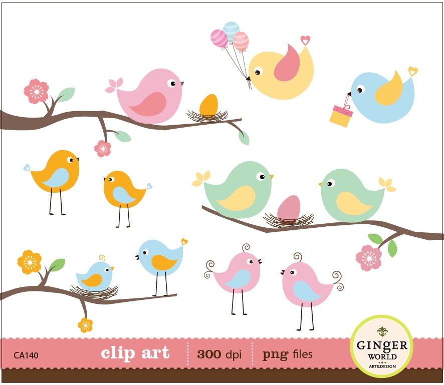 Bird Egg Nest Clipart, Baby Bird, Bird Family For Scrapbooking, Baby Showeru2026 - Cute Baby Bird, Transparent background PNG HD thumbnail