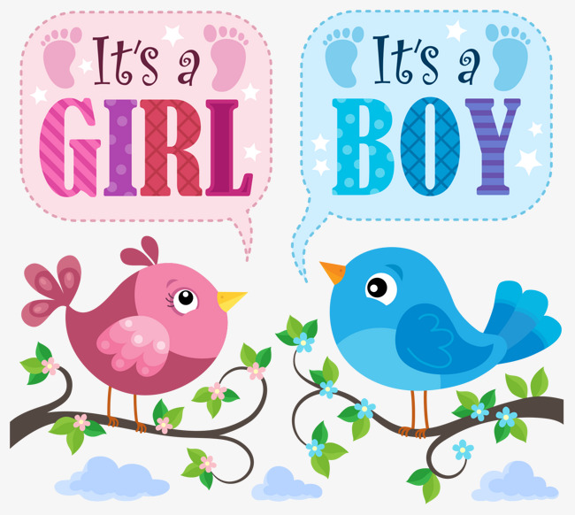 Cute Bird With Baby Card Vector, Baby, Bird, Card Free Png And Vector - Cute Baby Bird, Transparent background PNG HD thumbnail