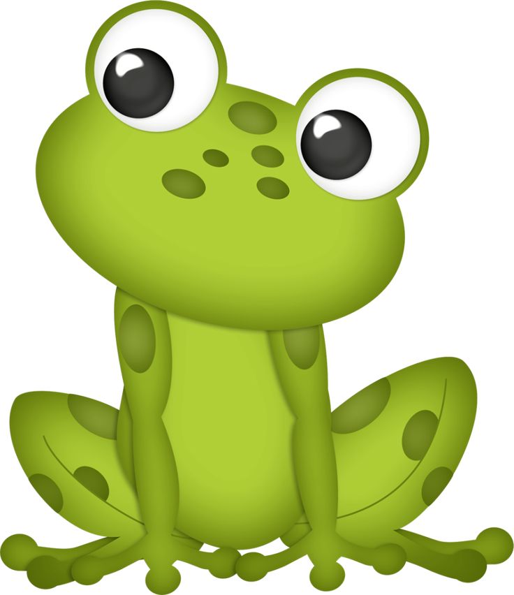 Frog Images - Cartoon Animals