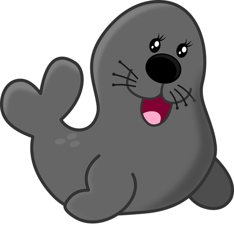 Cute Baby Seal Png Hdpng.com 748 - Cute Baby Seal, Transparent background PNG HD thumbnail