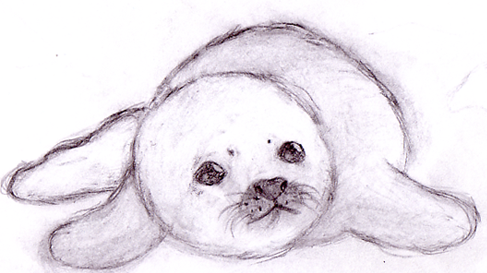 Baby Seal By Leniinha Hdpng.com  - Cute Baby Seal, Transparent background PNG HD thumbnail