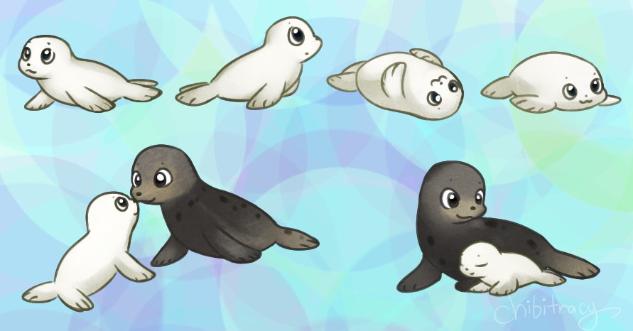 Harp Seal By Sunnynoga Hdpng.com  - Cute Baby Seal, Transparent background PNG HD thumbnail