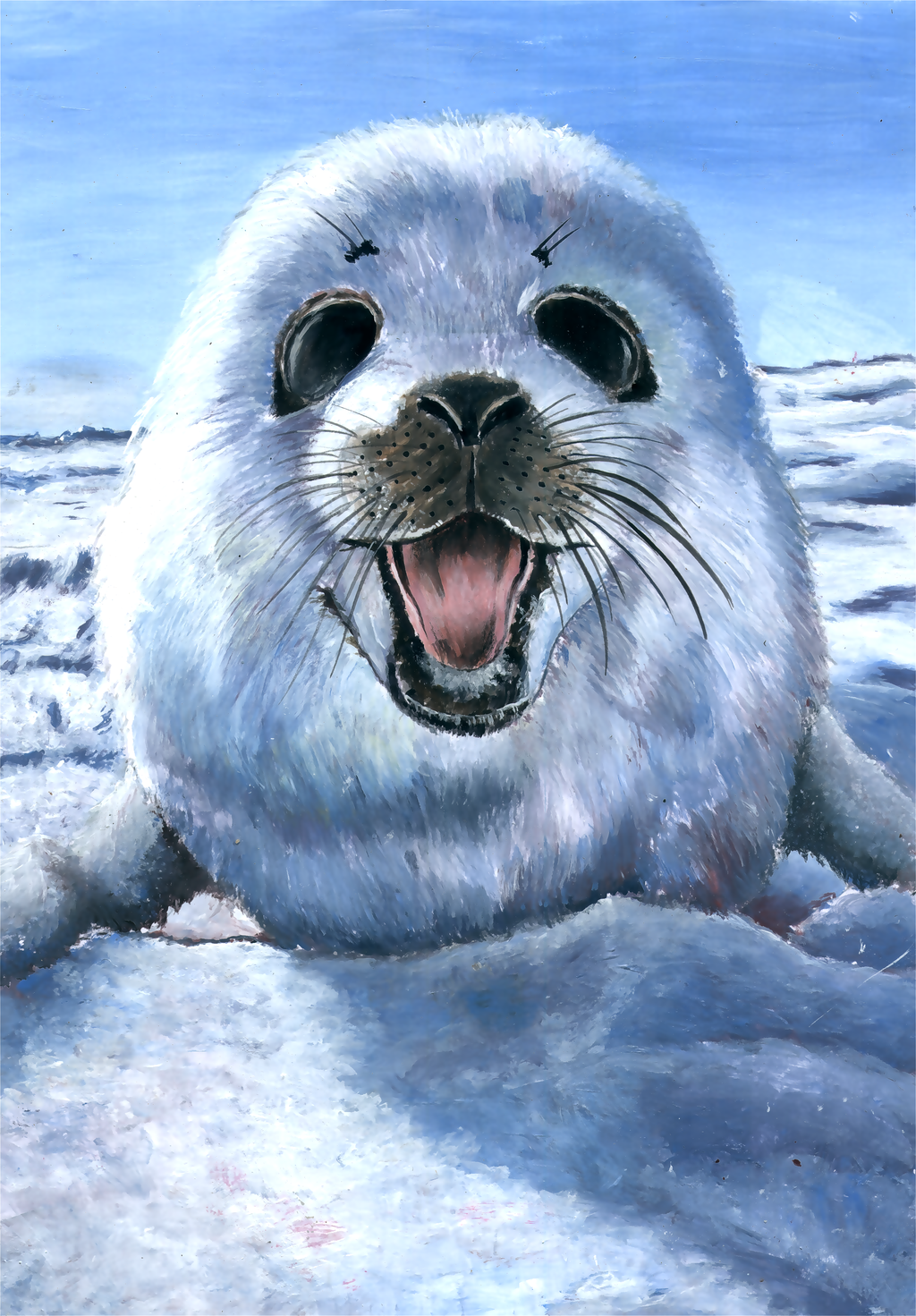 Harp Seal Pup By Grim1978 Harp Seal Pup By Grim1978 - Cute Baby Seal, Transparent background PNG HD thumbnail