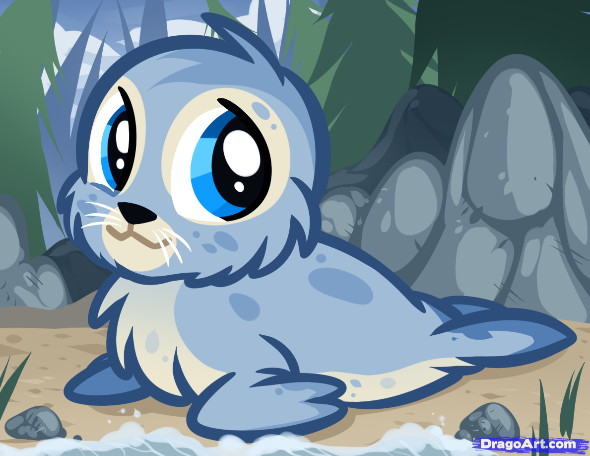 How To Draw A Baby Seal, Baby Seal Pup - Cute Baby Seal, Transparent background PNG HD thumbnail