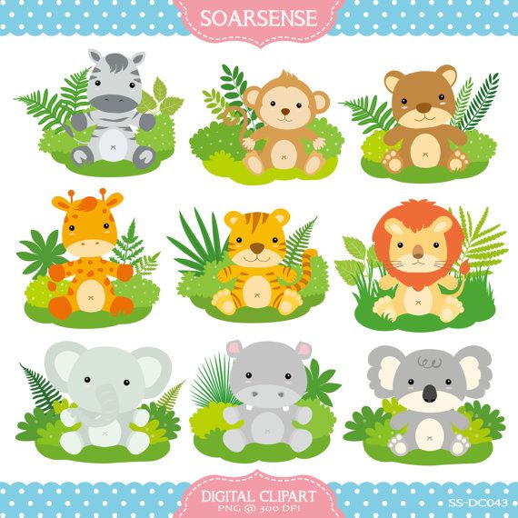 Baby Jungle Animals Clipart By Soarsense On Etsy - Cute Baby Zoo Animals, Transparent background PNG HD thumbnail