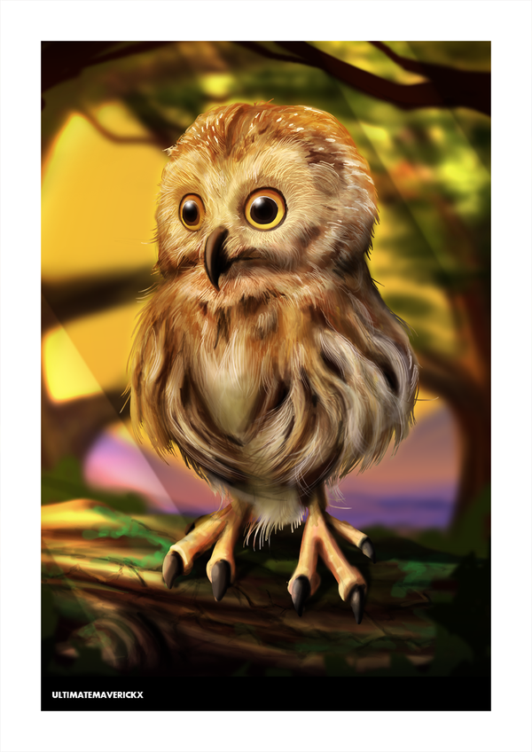 Cute Barn Png - Cute Owl By Ultimatemaverickx Hdpng.com , Transparent background PNG HD thumbnail