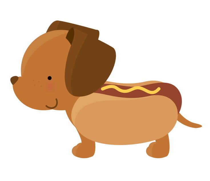 Appearance of Dachshund