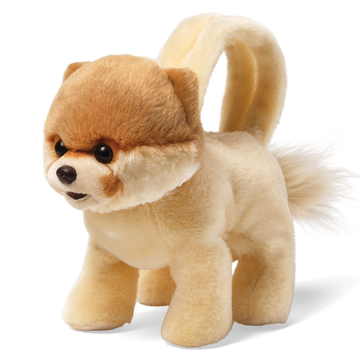 Boo Dog Png Hd   Puppy Png Hd - Cute Dog, Transparent background PNG HD thumbnail
