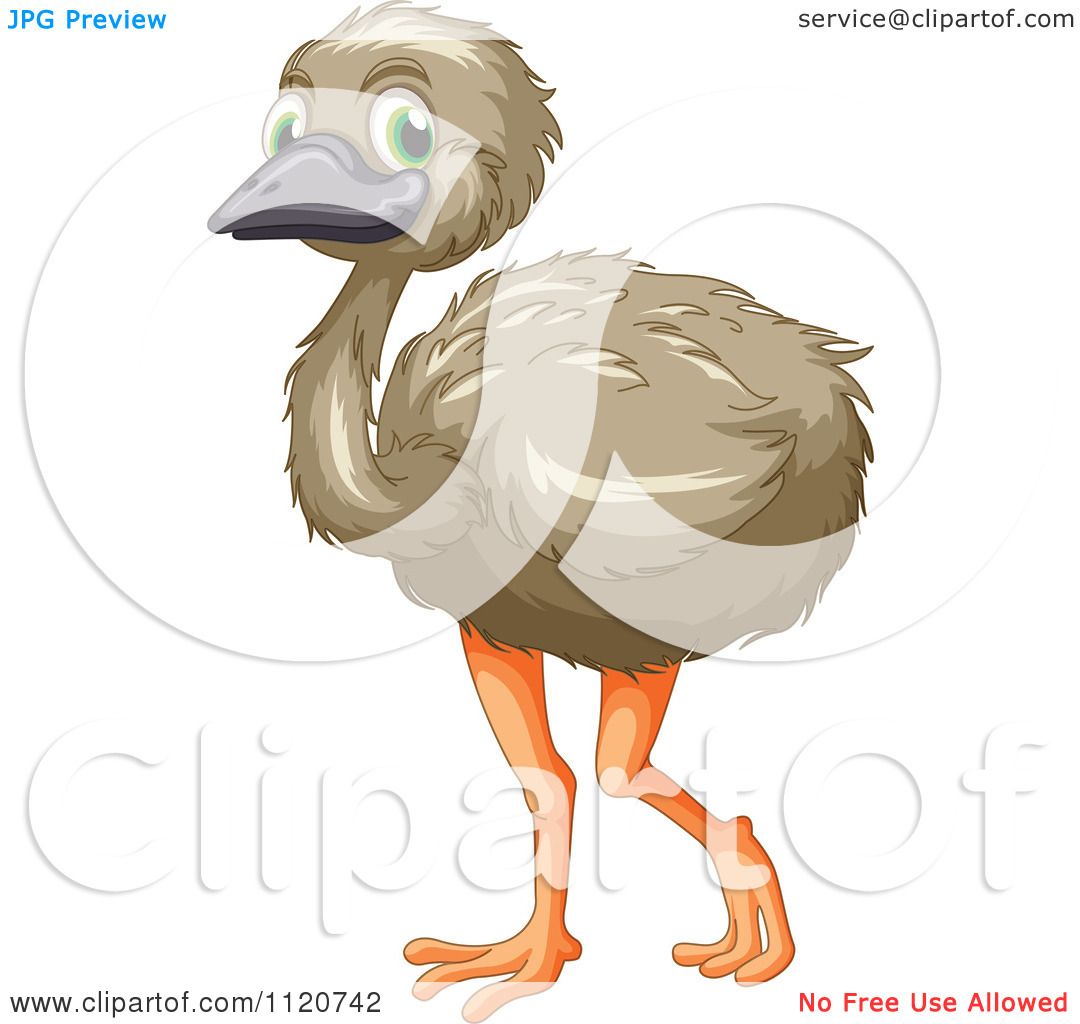 Cartoon Of A Cute Emu 3   Royalty Free Vector Clipart By Graphics Rf - Cute Emu, Transparent background PNG HD thumbnail