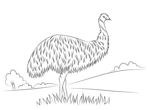 Click To See Printable Version Of Cute Emu Coloring Page - Cute Emu, Transparent background PNG HD thumbnail
