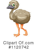 Royalty Free (Rf) Emu Clipart Illustration #1120742 - Cute Emu, Transparent background PNG HD thumbnail