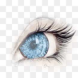 Eye, Eye, Eyelash, Blue Eyes Png And Psd - Cute Eyes, Transparent background PNG HD thumbnail