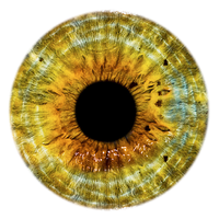 Eyes Png 4 Png Image - Cute Eyes, Transparent background PNG HD thumbnail