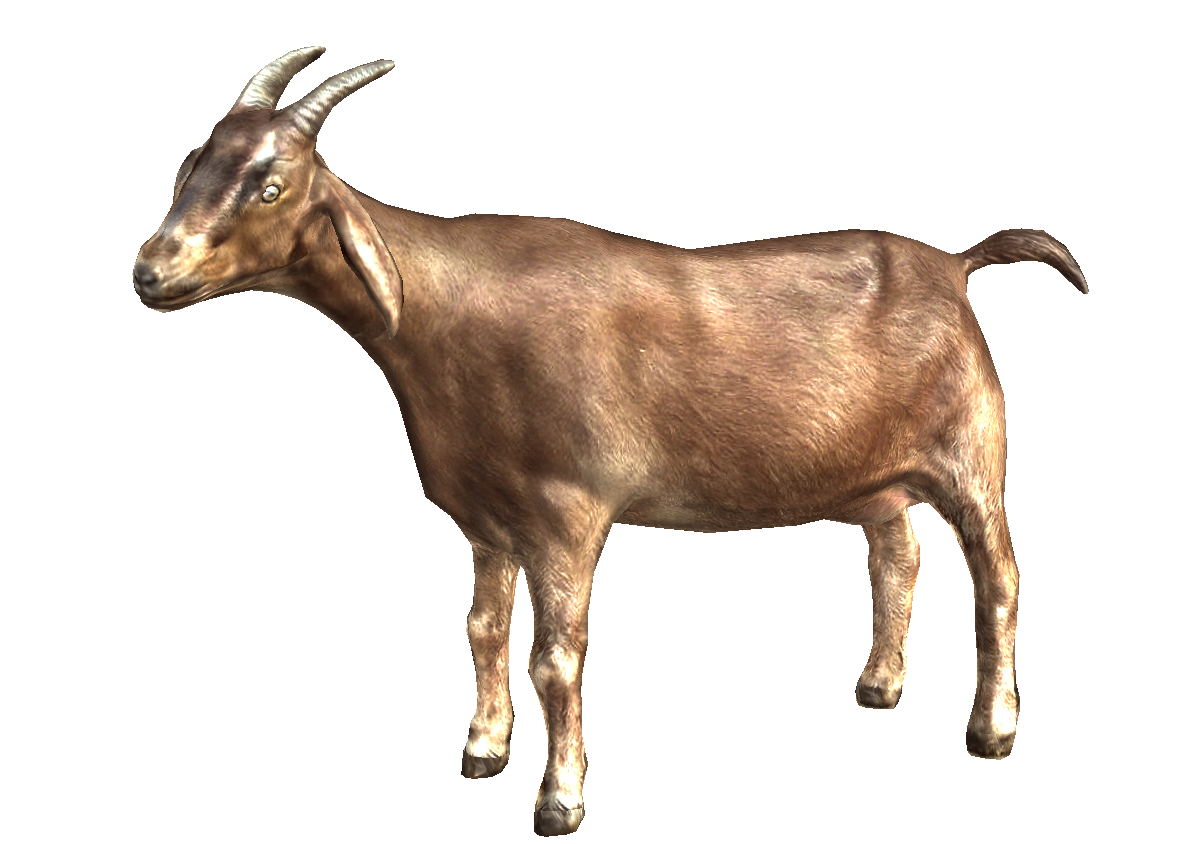 Goat Png Picture Png Image - Cute Goat, Transparent background PNG HD thumbnail