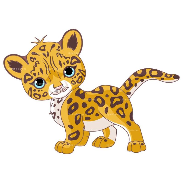 Baby jaguar clipart