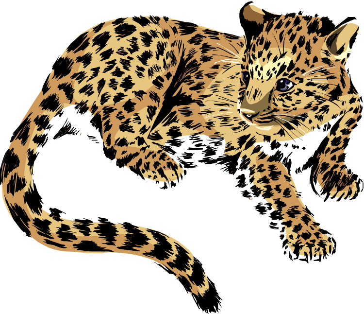 Jaguar clip art vector free c